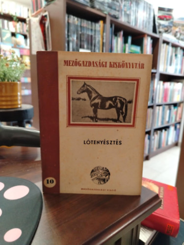 Dr. Hámori Dezső - Lótenyésztés