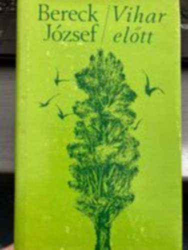 Bereck J�zsef - Vihar el�tt