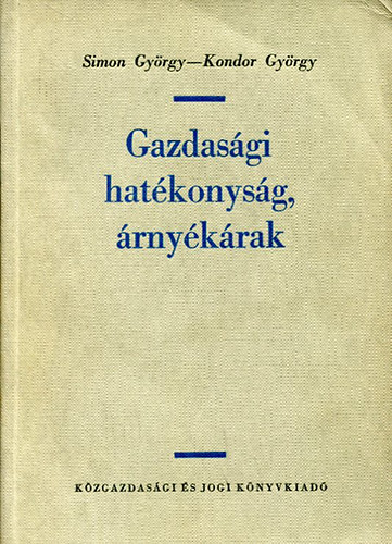 Kondor Gyrgy Simon Gyrgy - Gazdasgi hatkonysg, rnykrak