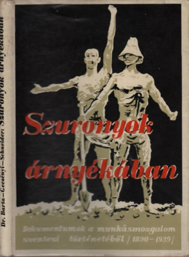 Dr. Gecsnyi L., Schneider M.  Barta L. (szerk.) - Szuronyok rnykban