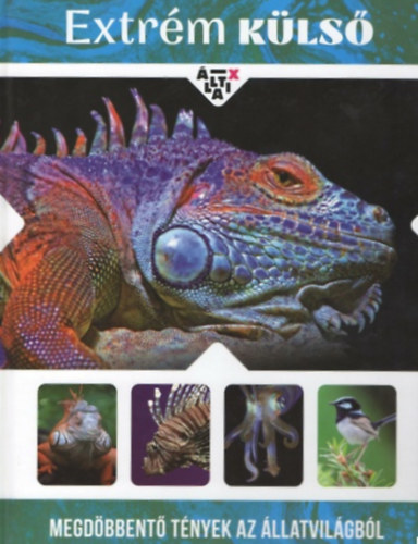 �llati X -  extr�m k�ls�