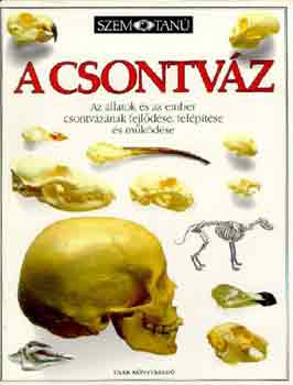 Steve Parker - A csontváz (Szemtanú)