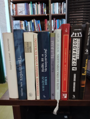 Förster Vera, Féja Géza, Ferdinandy Mihály, Galgóczi Dóra, Heltai Gáspár, Gerlóczy Márton, Géczi János Galgóczi Erzsébet - Magyar irodalom 10 db KÖNYVMENTŐ AJÁNLAT: Kettős ünnep, Kapaszkodj..., Visegrádi esték, Góg és Magóg, Halló, itt a Mennyország!, Felpróbált életek , Száz fabula, A Szabadok Testvérisége, Váróterem, Viotti négy vagy öt élete