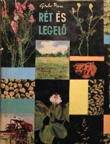 Dr. Gr�bner Emil  Gruber Ferenc (lektor), Kemenessy Ern� (lektor) - R�t �s legel� - M�sodik, b�v�tett �s �tdolgozott kiad�s