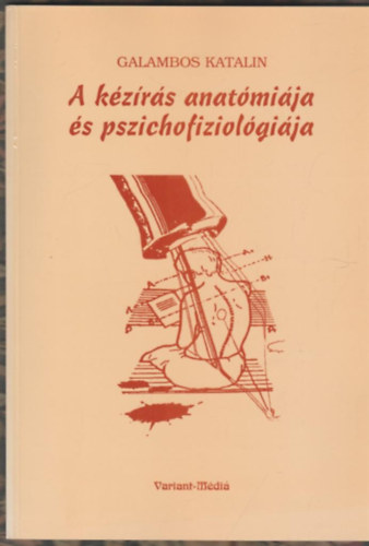 Galambos Katalin - A k�z�r�s anat�mi�ja �s pszichofiziol�gi�ja