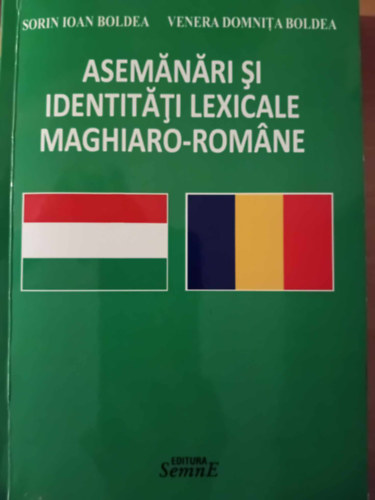 Sorin Ioan Boldea - Magyar-Romn sztr