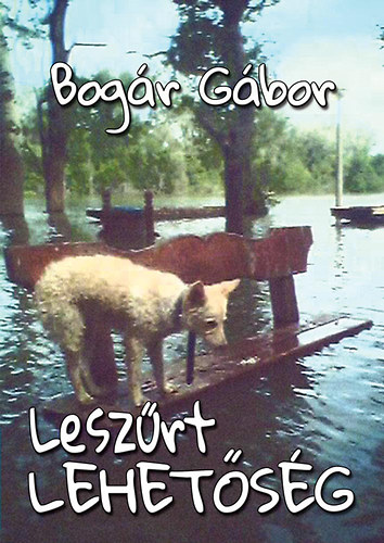 Bogár Gábor - Leszűrt lehetőség
