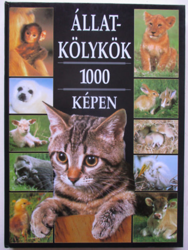 Direkt Marketing Millennium K. - �llatk�lyk�k 1000 k�pen