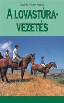 Gyrffy-Villm Andrs - A lovastra-vezets