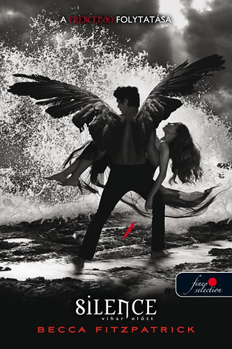 Becca Fitzpatrick - Silence - Vihar el�tt