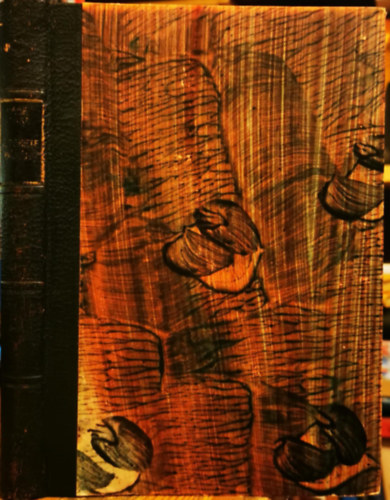 K�d�r Imre - A fekete b�r�ny II.