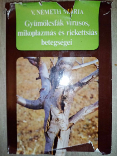 Dr. Beczner László V. Németh Mária (lektor), Dr. Király Zoltán (lektor) - Gyümölcsfák vírusos, mikoplazmás és rickettsiás betegségei (A növényvírusok, / A gyümölcsfavírusok,/ Az almástermésűek, A csonthéjas termésűek, Héjastermésűek vírusos betegségei / A lágyszárú növények vírusainak látens