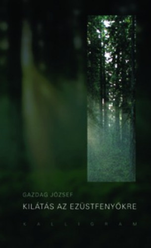 Gazdag J�zsef - Kil�t�s az ez�stfeny�kre