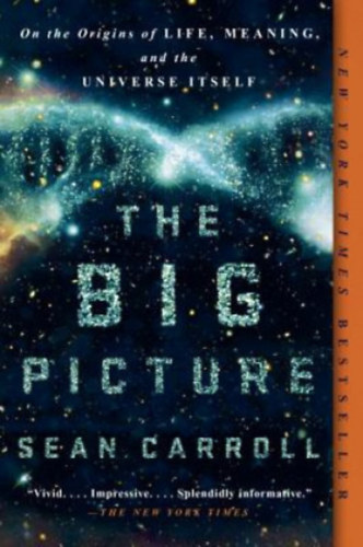 Sean Caroll - The Big Picture