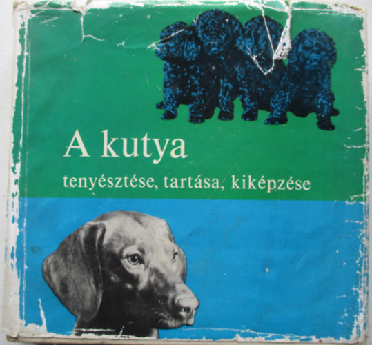 Dr. Srkny Pl - A kutya tenysztse, tartsa, kikpzse