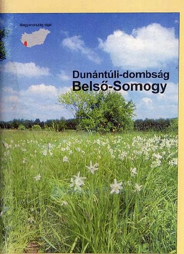 Dunntli-dombsg, Bels-Somogy