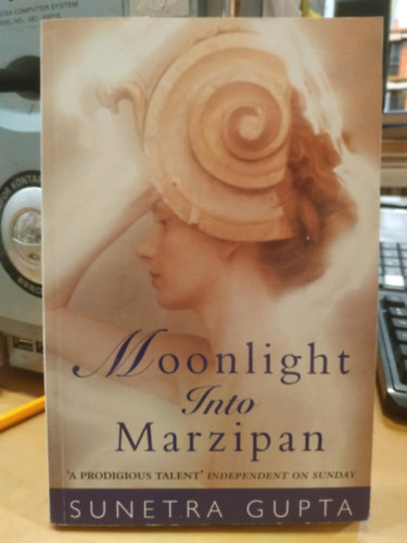 Sunetra Gupta - Moonlight into Marzipan