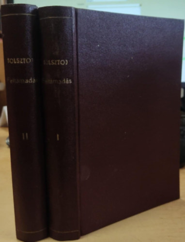 Lev Tolsztoj - Feltámadás I-III. (két kötetben)