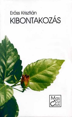 Erss Krisztin - Kibontakozs
