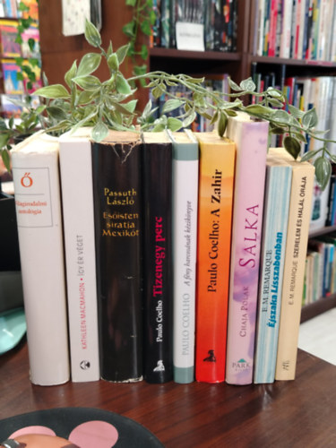 László Passuth, Paulo Coelho, Chaja Polak, Erich Maria Remarque Cathleen MacMahon - KÖNYVMENTŐ AJÁNLAT, 9 DB. Szépirodalom válogatás. ő -világirodalmi antológia, Így ér véget, Esőisten siratja Mexikót, Tizenegy perc, A fény harcosának kézikönyve, A Zahir, Salka, Éjszaka Lisszabonban, Szerelem és halál órája