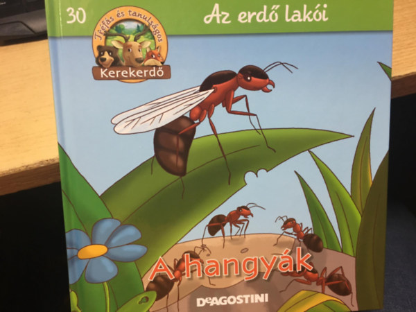 Az erdő lakói - A hangyák (Kerekerdő)