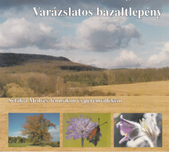 Andrsfalvi-farag Zoltn - Varzslatos bazaltlepny