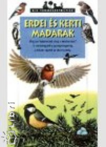 Valérie Tracqui - Erdei és kerti madarak