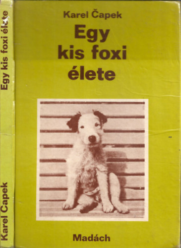 Capek Karel - Egy kis foxi lete