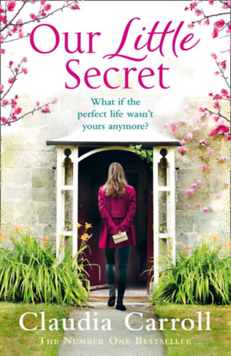 Claudia Carroll - Our Little Secret