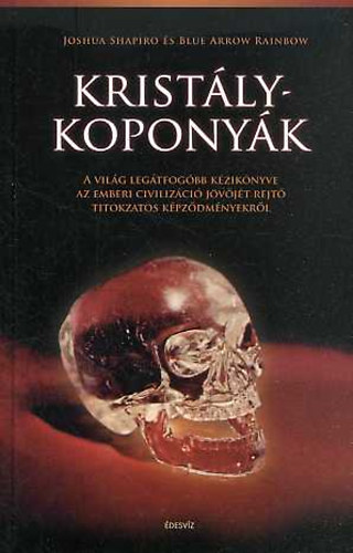 Joshua Shapiro Blue Arrow Rainbow - Kristlykoponyk (A vilg legtfogbb kziknyve az emberi civilizci jvjt rejt titokzatos kpzdmnyekrl)