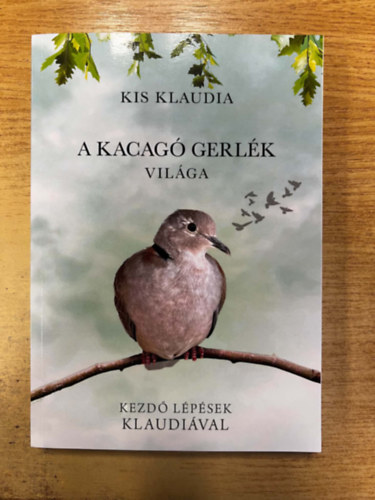 Kis Klaudia - A kacag� gerl�k vil�ga - Kezd� l�p�sek Klaudi�val