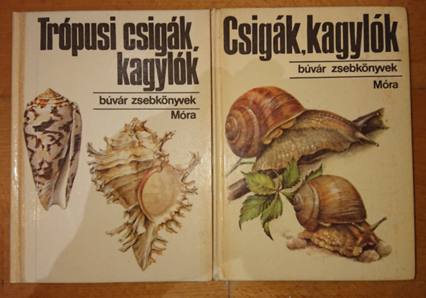 2 knyv a puhatestekrl a Kolibri knyvek kzl: Csigk, kagylk / Trpusi csigk, kagylk