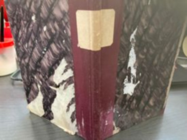 Harsányi Gréte - Az igazi asszony