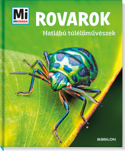 Rovarok - Hatlb tllmvszek