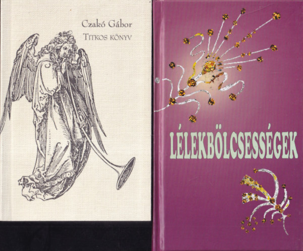 2 db kereszt�ny b�lcsess�gek: Titkos k�nyv + L�lekb�lcsess�gek