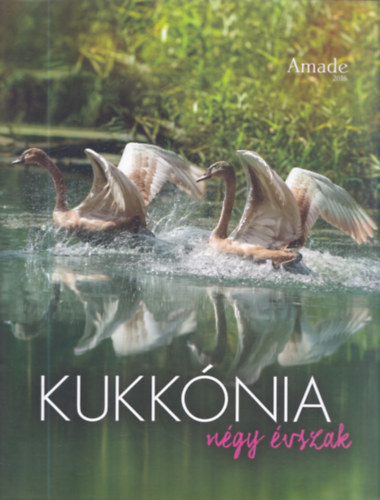 L. Horváth Katalin - Kukkónia 2. - Négy évszak