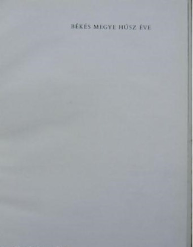 Cserei Pál - Békés megye húsz éve