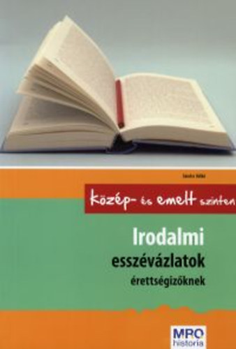 Sándor Ildikó - Irodalmi esszévázlatok érettségizőknek - Középszinten és emelt szinten