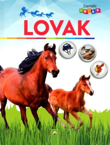 Anja Schriever - Zsenilis tuds: Lovak