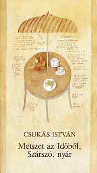 Csukás István - Metszet az Időből, Szárszó, nyár