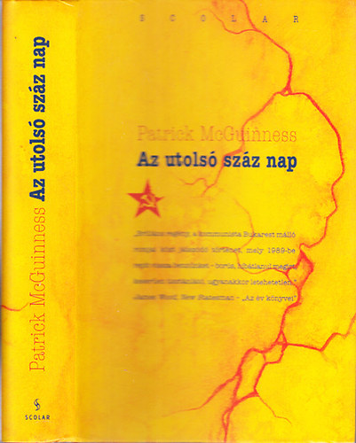 Patrick McGuinness - Az utols szz nap