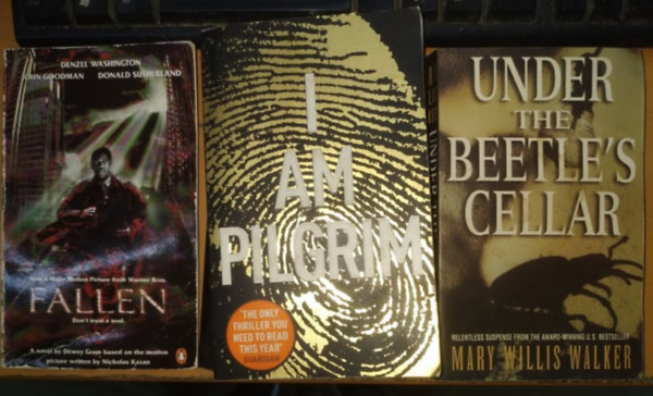 Mary Willis Walker, Dewey Gram, Nicholas Kazan Terry Hayes - Fallen + I Am Pilgrim + Under the Beetle's Cellar (3 ktet)