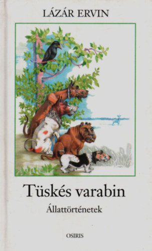 Lzr Ervin - Tsks varabin