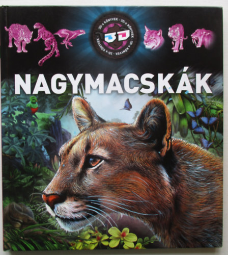 Nagymacskk