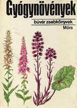 Ispy Istvn Dr. - Gygynvnyek (Bvr zsebknyvek)