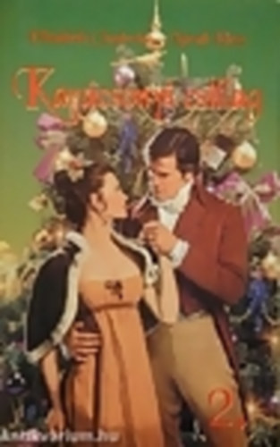 Elizabeth Chadwick; Norah Hess - Karácsonyi csillag 2.