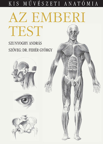 Dr. Fehr Gyrgy - Az emberi test - Kis mvszeti anatmia