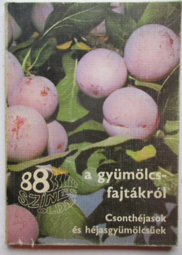 Tomcsnyi-Bdecs-Majoros - 88 sznes oldal a gymlcsfajtkrl