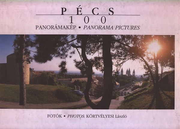 Krtvlyesi Lszl - Pcs - 100 panormakp