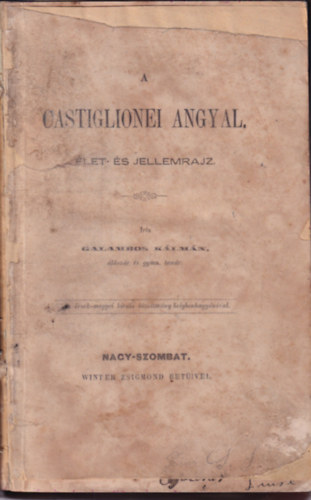 A castiglionei angyal. Élet-és jellemrajz